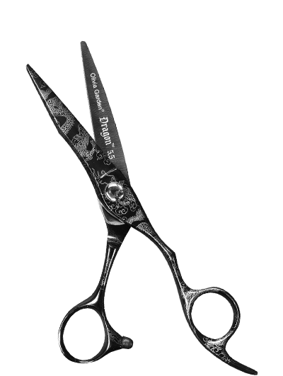 Dragon - Olivia Garden