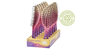 12-pc Display - HSU-D12C