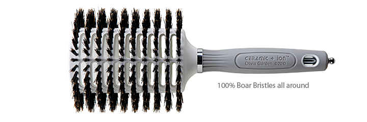 Ceramic Oval Garden brushes: Olivia + Hair Twin Turbo Vent Ion |