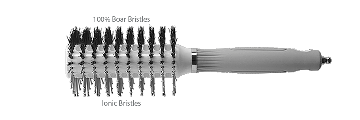 3" x 2 1/4" Oval Medium - CIOVL-TWINMD